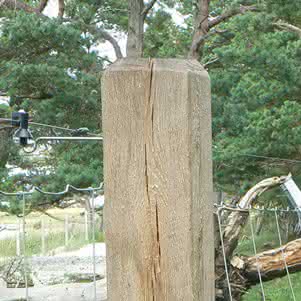 Schnittholz Eiche 100x100 mm 3,00 m 100 x 100 mm | 3,00 m
